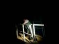 Titanic: Mr. Andrews Vision (Kenmore West 2008)
