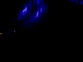 Nightwish 