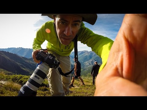Image de prévisualisation YouTube
