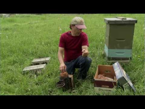 Natural Beekeeping with Ross Conrad DVD Trailer