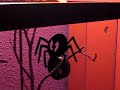LATRODECTUS MACTANS MACTANS LATRODECTUS MACTANS MACTANS