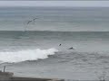 Surfing McAbee Beach  Monterey  01 05 2008