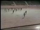 Bandy Bandy