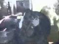 videos de Hommage an die Geliebte und an  Schwäbisch Hall