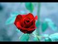 Ahmet �zhan   G�l� susuz seni a�ks�z b�rakmam