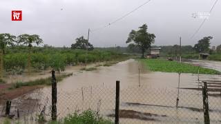 Johor vegetables farms suffer major setback from floods