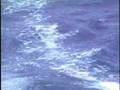 Successful Big Game Fishing - Marlin, Dolphin, and Tuna