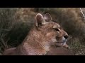 Best Earth Footage (720p Hd) Enigma - Indian Chanting. Yeha Noha - Sacred Spirits.