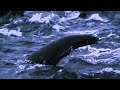 Best Earth Footage (720p HD) Enigma - Indian Chanting. Yeha Noha - Sacred Spirits.