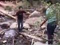 la caida de edgar (tributo)