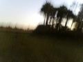 VID00005.AVI