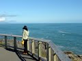View from the Lookout