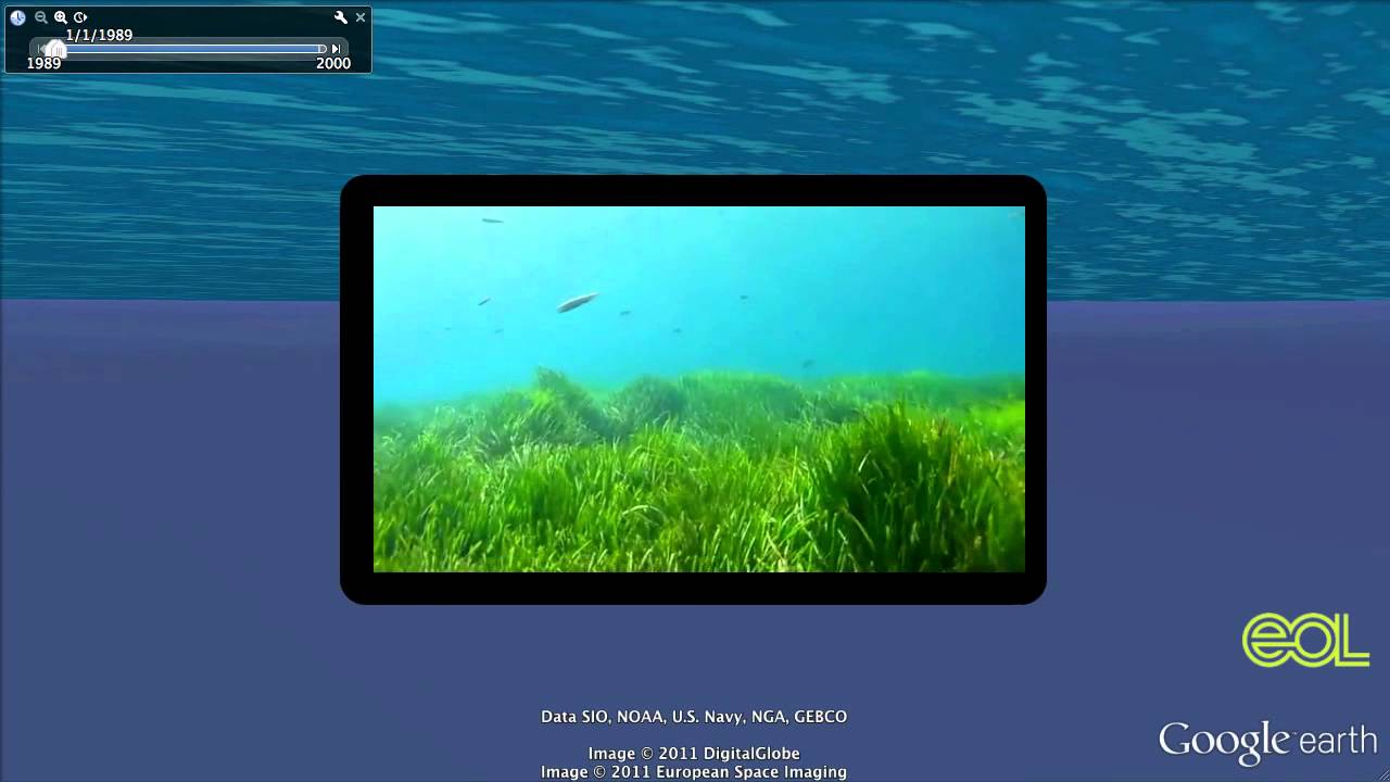 Invasive Species Google Earth Tour Video