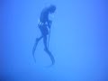 Cernia Sardegna video 1 Cernia Sardegna video 1
