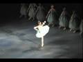 Sleeping Beauty (Alina Cojocaru)