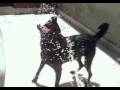videos de 05/01/08