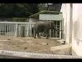 The Higashiyama Zoo 1