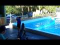 videos de GWorld