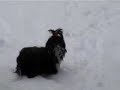 Nala Winter