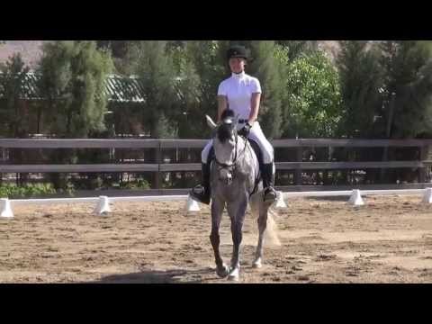 Sterling - Sterling & Mia Slaughter scored 61.90% and took 1st place in Intro Test B in the Junior Level. This was held on Sunday May 19th, 2013 at the Pepperglen Farm ...