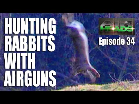 Hunting Rabbits with Airguns – AirHeads, Episode 34