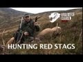 Hunting red stags in Scotland by Kristoffer Clausen, Awesome killscenes