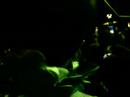 of montreal & axe riverboy
bad moon rising de ccwr