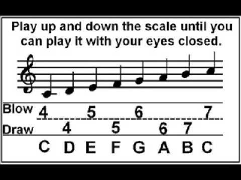 how to read harmonica tabs