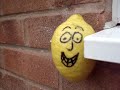 Cheese & Lemon man 1