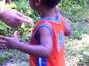 MORE CICADA EXPERIENCES