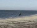 Kiting