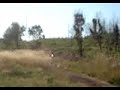 ajp pr3 200 mx test