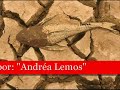 aquecimento global o nosso  planeta agoniza