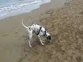 tequila en la playa