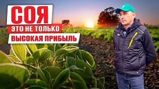 Аграрии Татарстана в поиске  других источников дохода или Соя – это не только высокая прибыль.