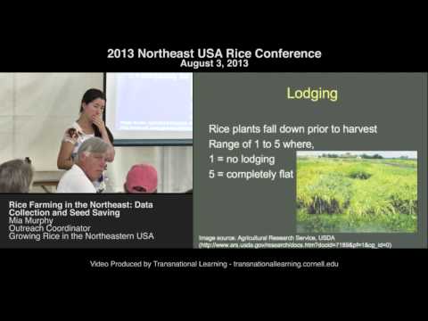 how to collect azolla