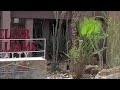 Keller Williams Realty,  Rancho Mirage and Palm Springs