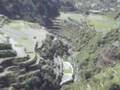 Banaue Rice Terraces