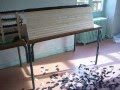 6100 domino