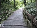 這一段影片, 是老公和我與幾位親友, 在 16/June/2008 到台北縣烏來鄉福山植物園去玩的記錄.  在沒有下雨的日子裡出遊, 又有綠色的植物林園可以看, 我真的是, 很 