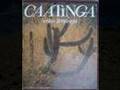 Caatinga - Trabalho Geografia - P3