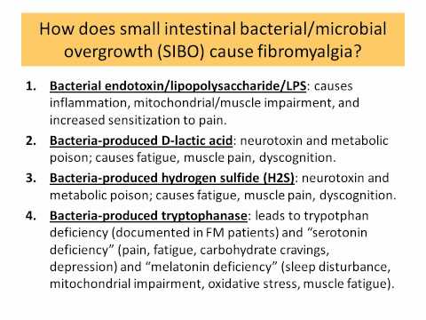 Small intestine bacterial overgrowth (SIBO, dysbiosis) causes Fibromyalgia