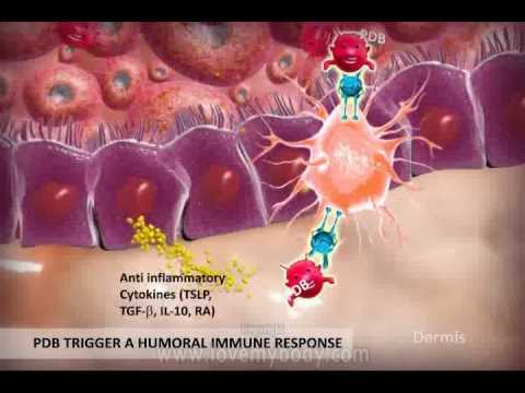 how to isolate keratinocytes