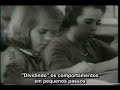 skinner   modelagem  legendado 