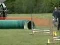 Scout ITZ Nadac Trial May