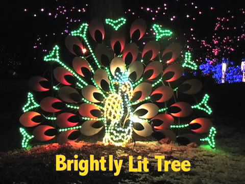 video:The 12 Nights of Zoo Lights