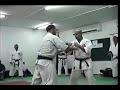 karate: liron vs. avi karate: liron vs. avi