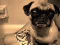 Snuffy\ Snuffy\