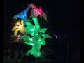Boom Festival 2006 walk in the night