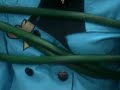 甲斐麻美　おっぱい食い込み